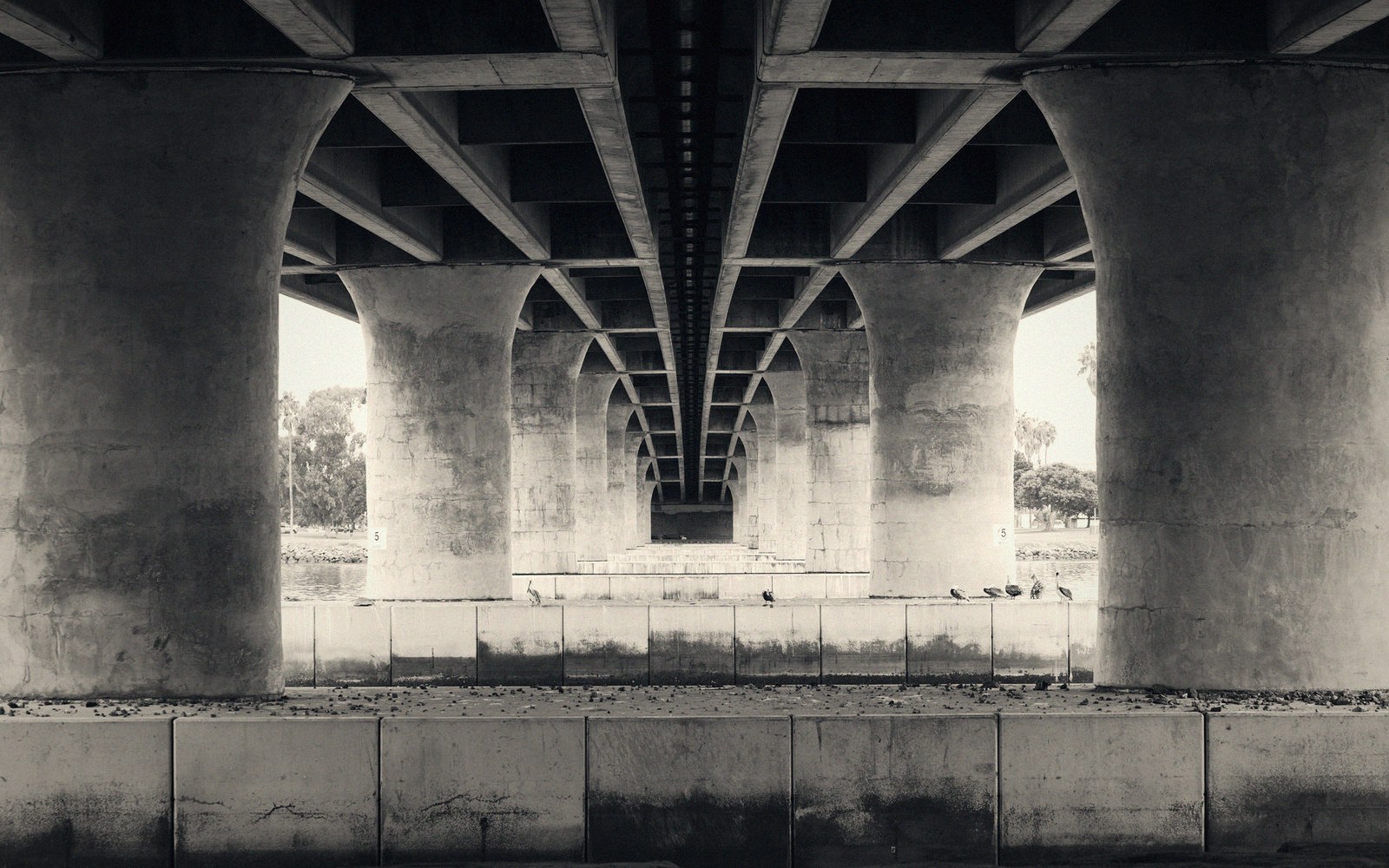 Underside of a mid-century motor hotel porte-cochère, structural soffit and column detail